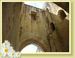 Provins_Visite (7)